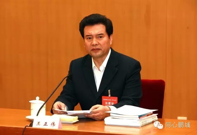 全国政协副主席,国家民委主任王正伟主持会议